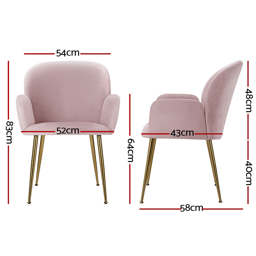 Isabel Velvet Dining Chair - Pink (Set of 2)