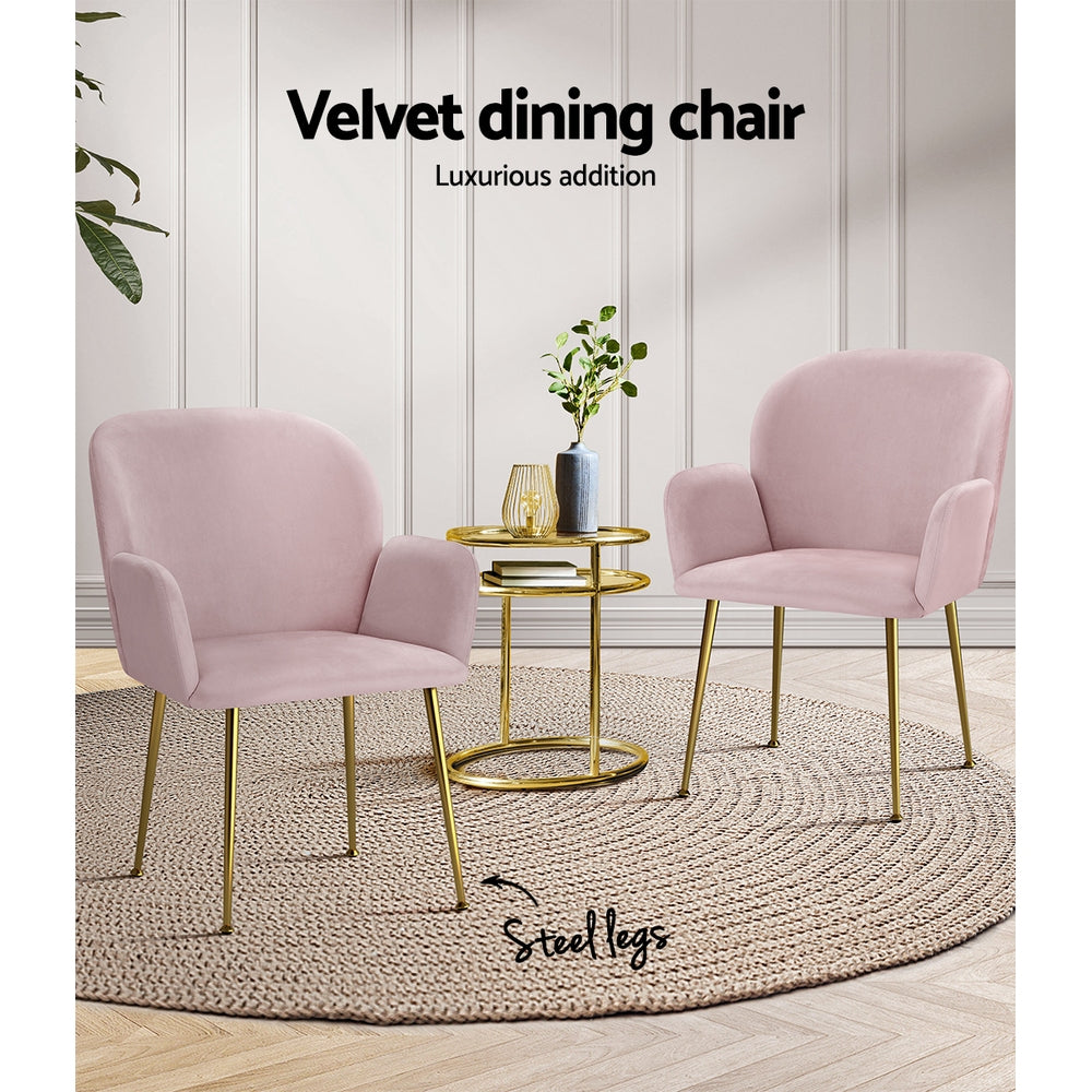 Isabel Velvet Dining Chair - Pink (Set of 2)