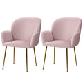 Isabel Velvet Dining Chair - Pink (Set of 2)